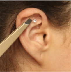 Healing with Zen Ear Seeds